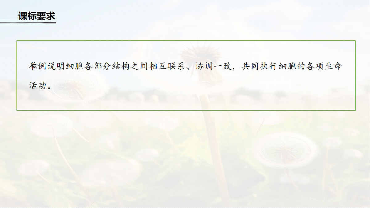 第二单元 第6课时 细胞器之间的协调配合第2页