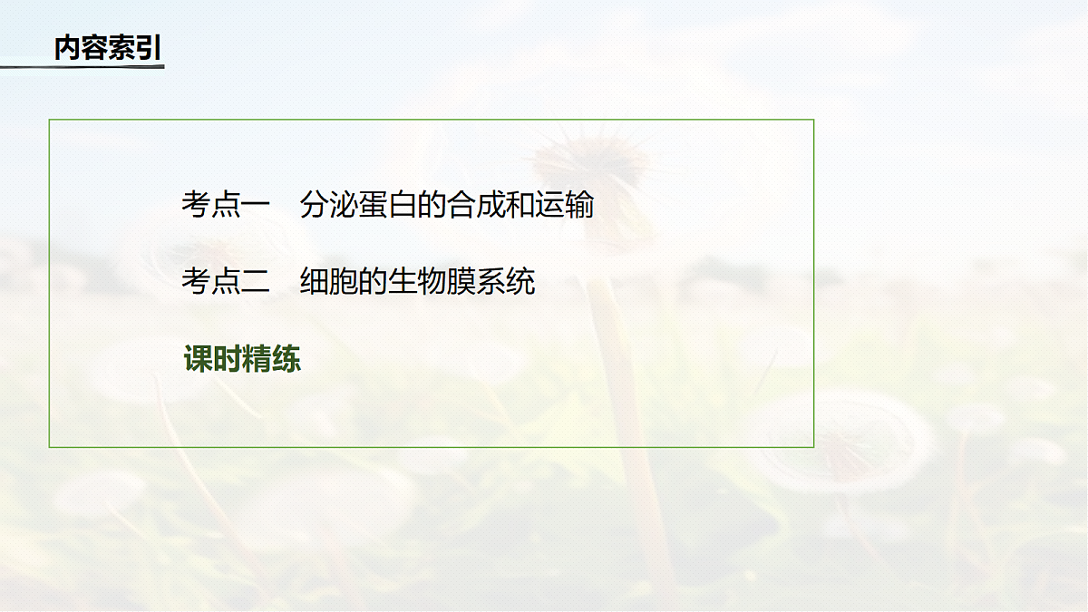 第二单元 第6课时 细胞器之间的协调配合第4页