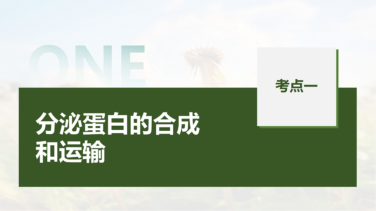 第二单元 第6课时 细胞器之间的协调配合第5页