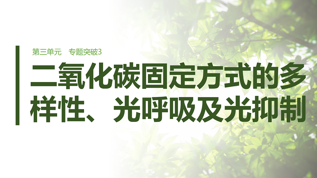 第三单元 专题突破3 二氧化碳固定方式的多样性、光呼吸及光抑制第1页