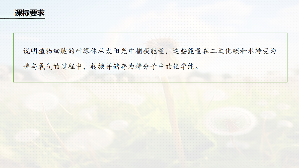 第三单元 专题突破3 二氧化碳固定方式的多样性、光呼吸及光抑制第2页