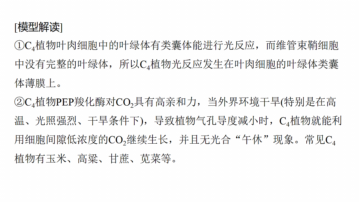 第三单元 专题突破3 二氧化碳固定方式的多样性、光呼吸及光抑制第5页