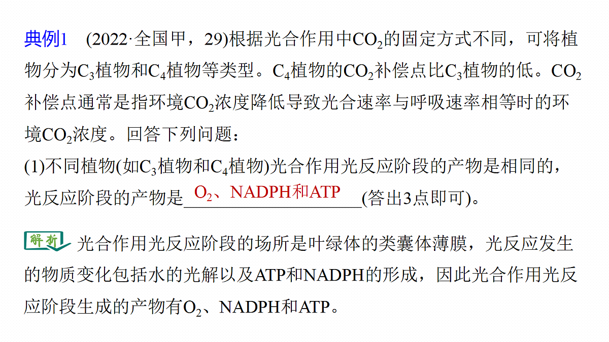 第三单元 专题突破3 二氧化碳固定方式的多样性、光呼吸及光抑制第6页
