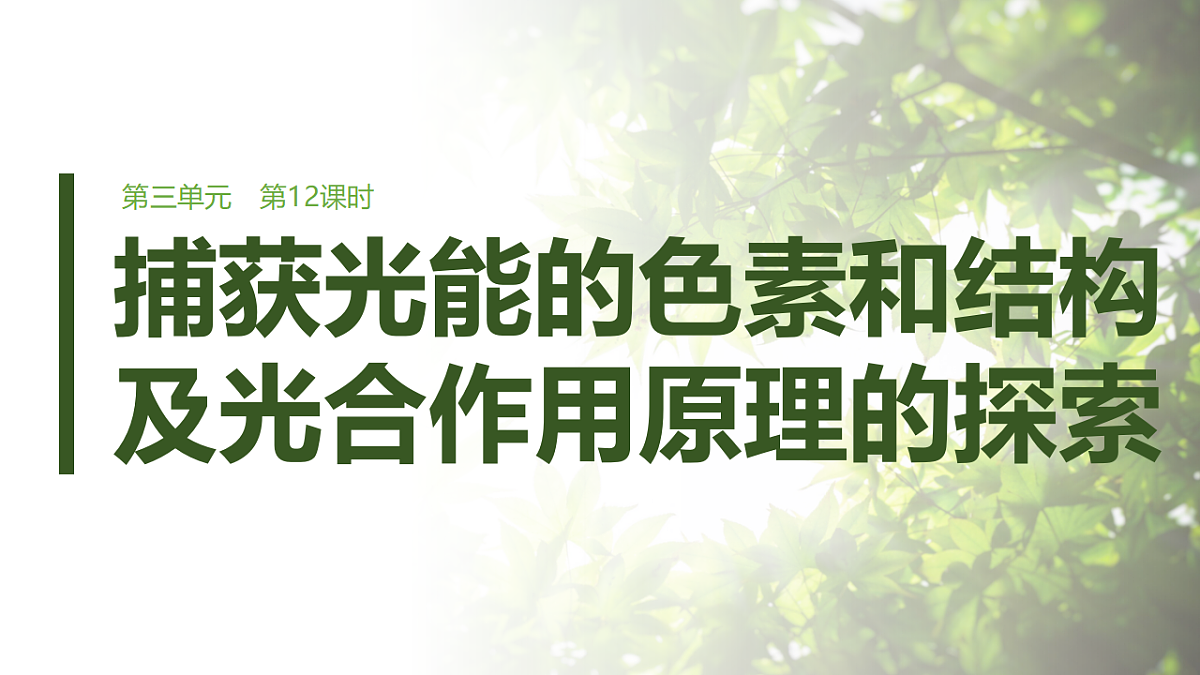 第三单元 第12课时 捕获光能的色素和结构及光合作用原理的探索第1页