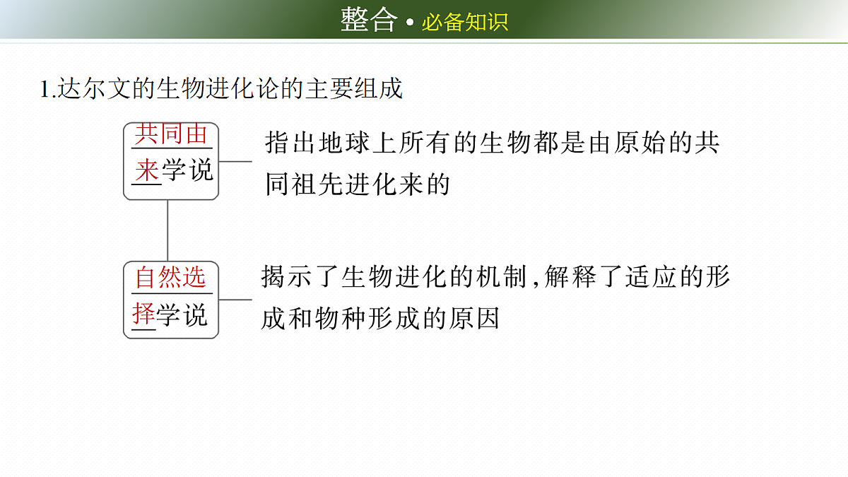 第七单元 第31课时 生物的进化第6页