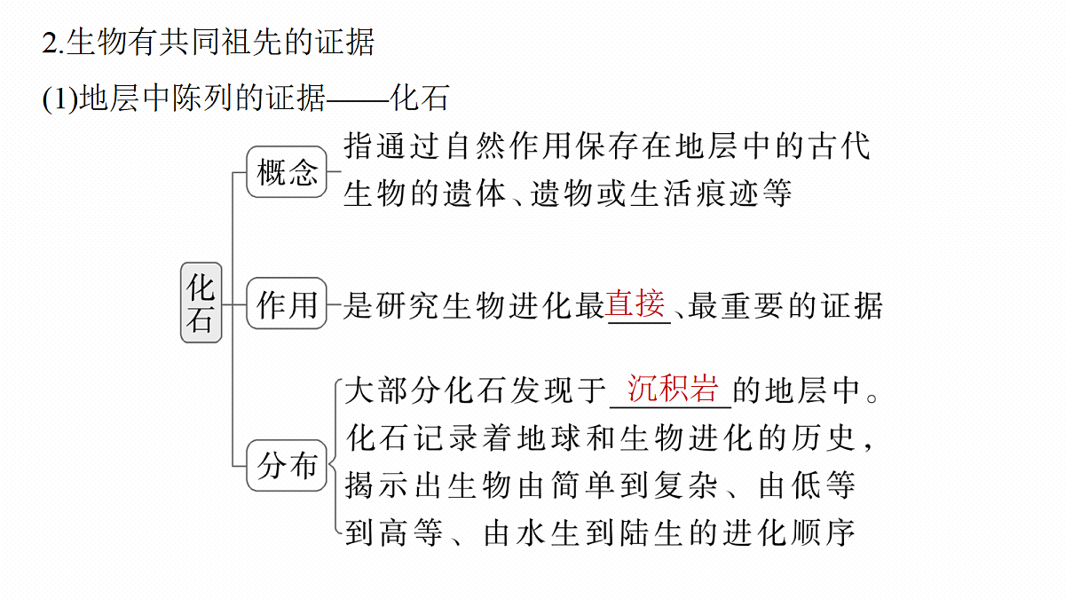 第七单元 第31课时 生物的进化第7页