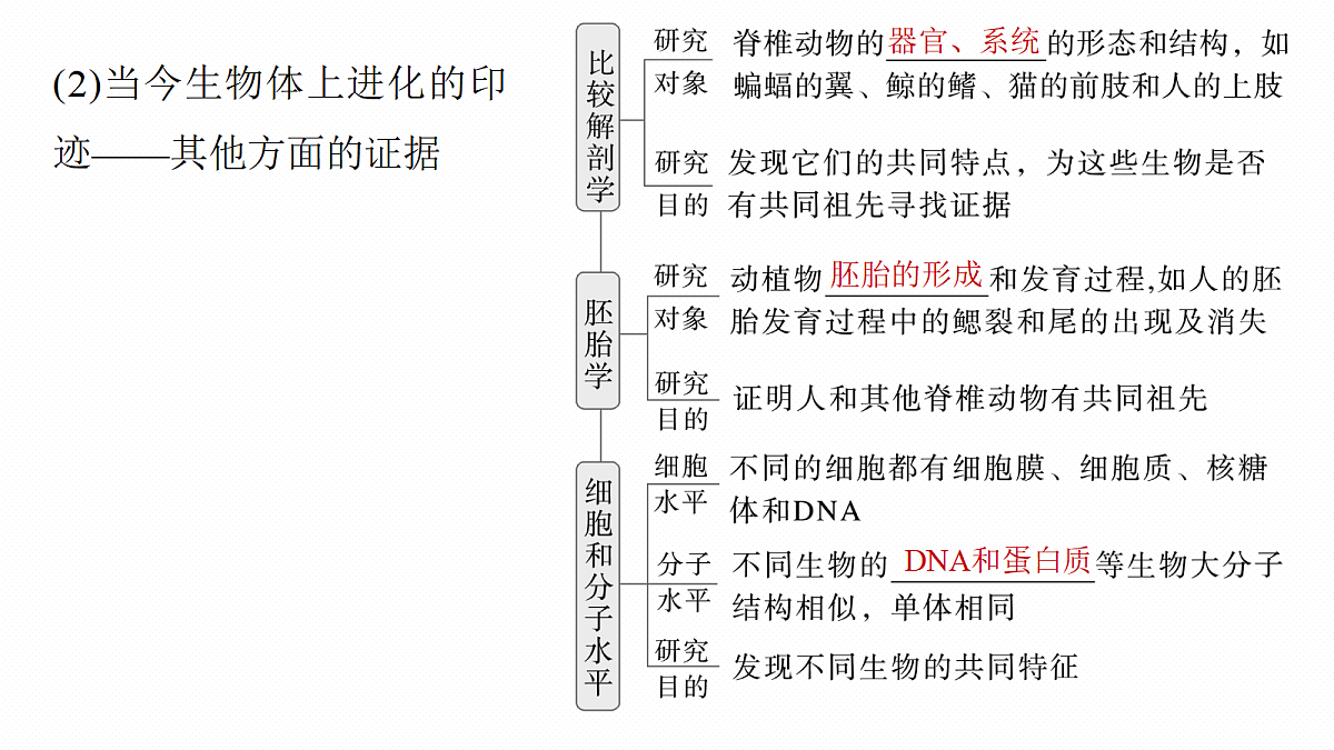 第七单元 第31课时 生物的进化第8页