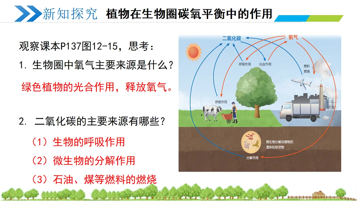 18274239第4页