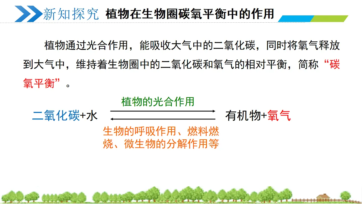 18274239第5页