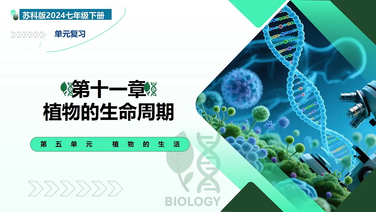 18274242第1页