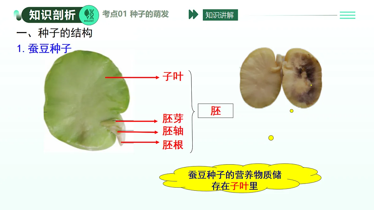 18274242第4页