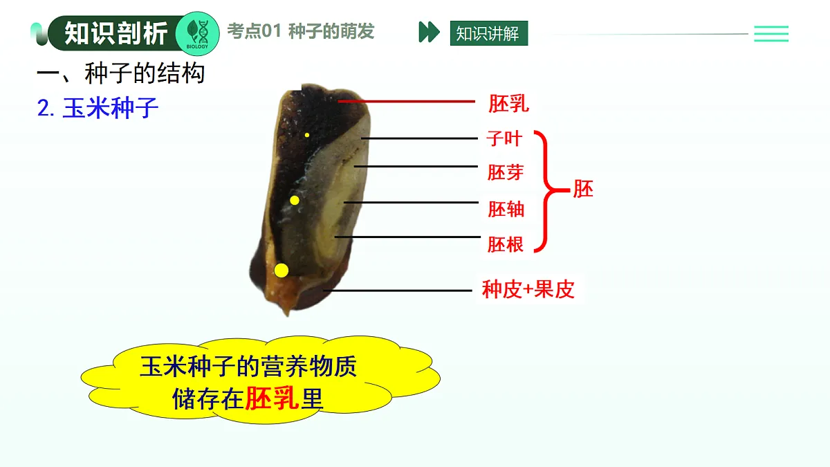 18274242第5页