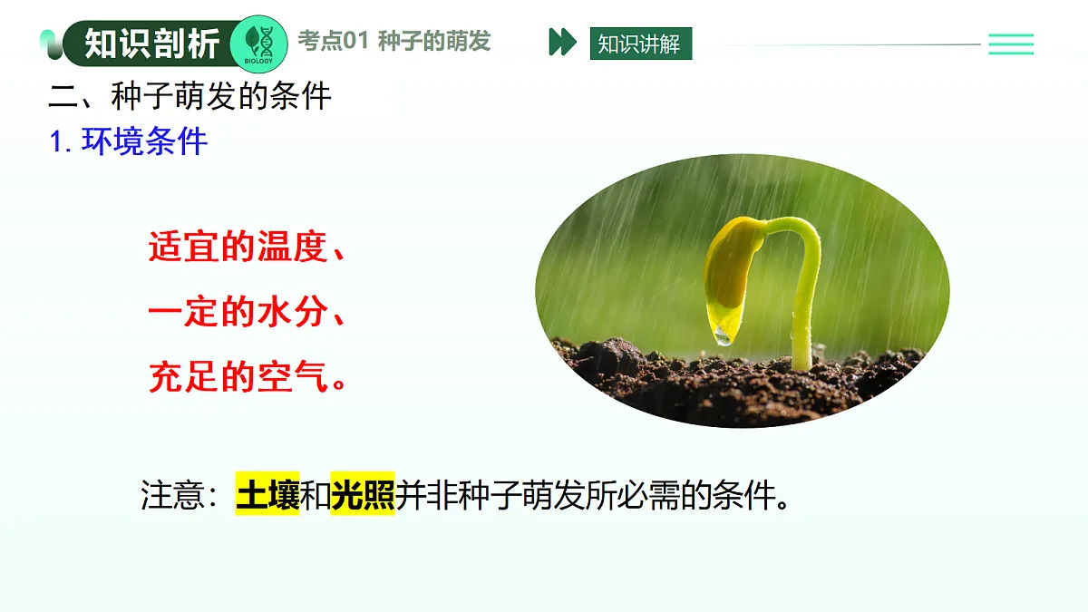 18274242第6页