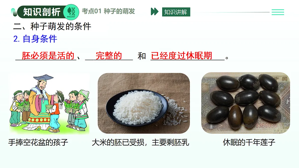 18274242第7页