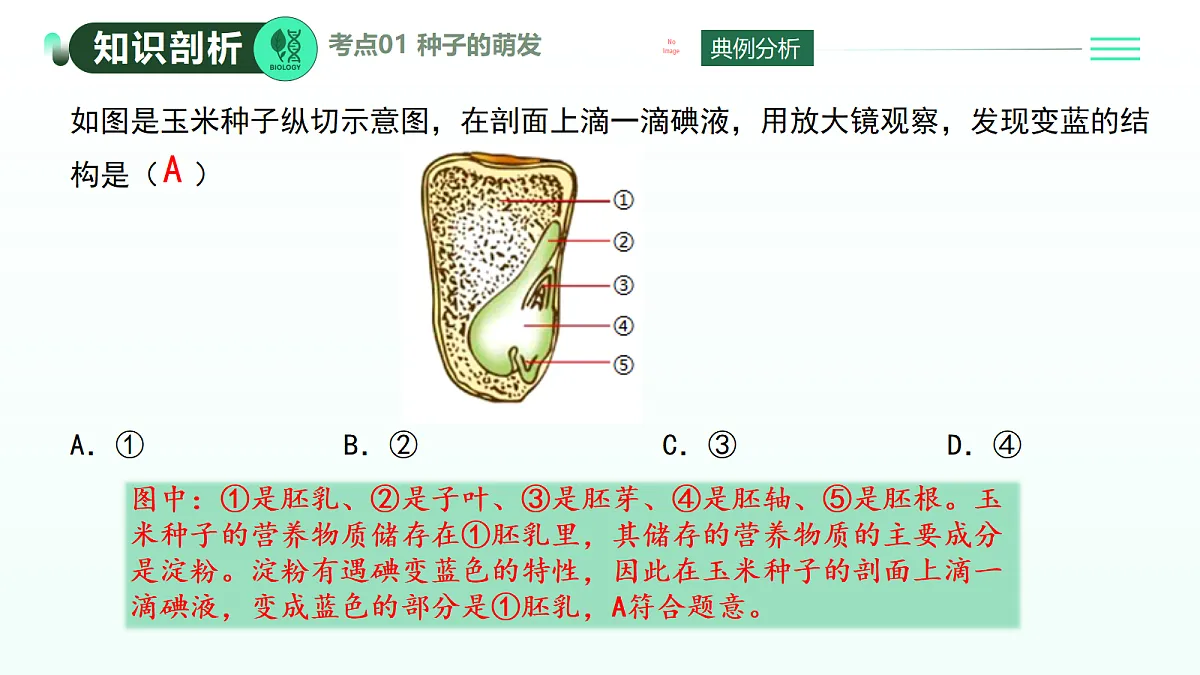18274242第8页