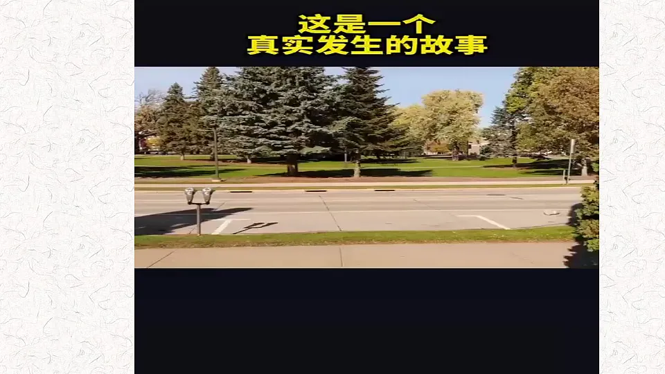 18274887第2页