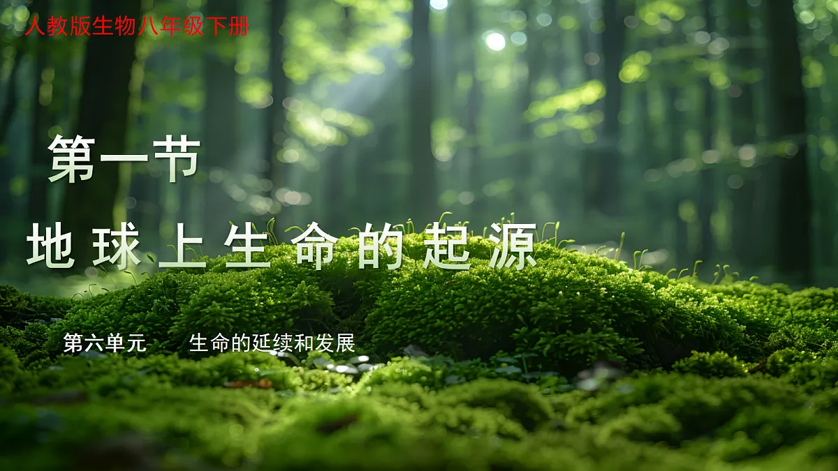 18275506第1页