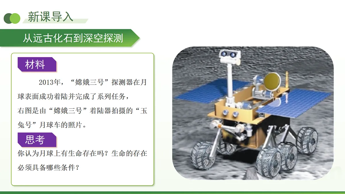 18275506第3页