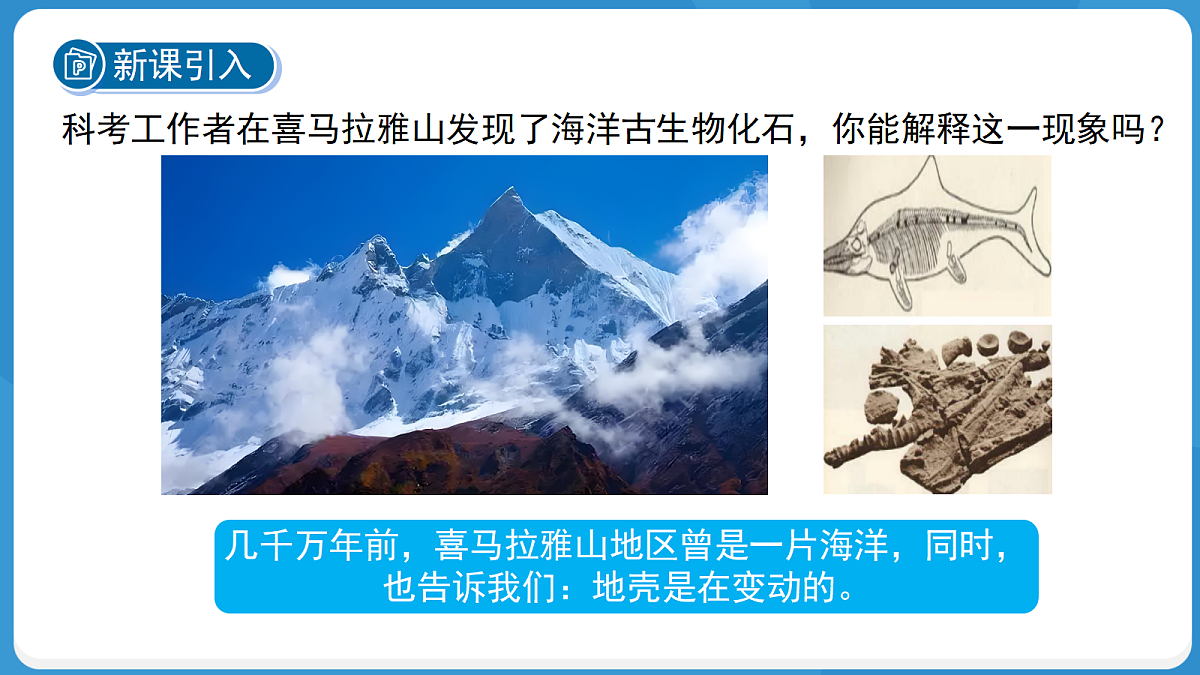 18276921第3页