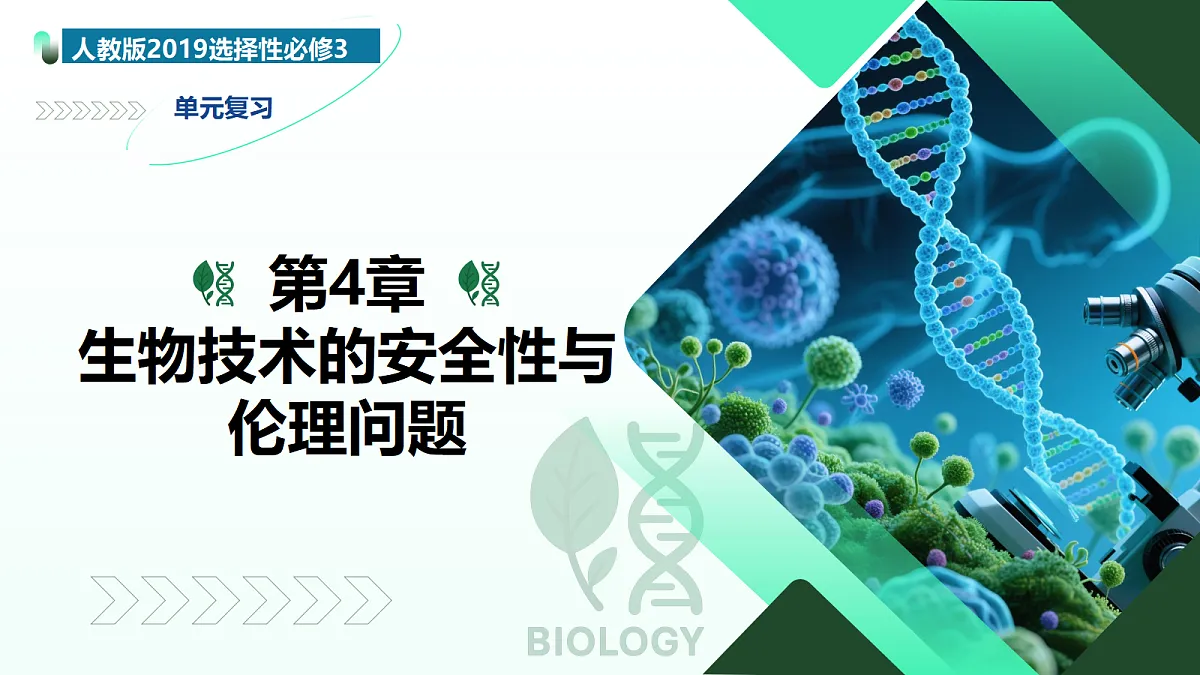 18277036第1页