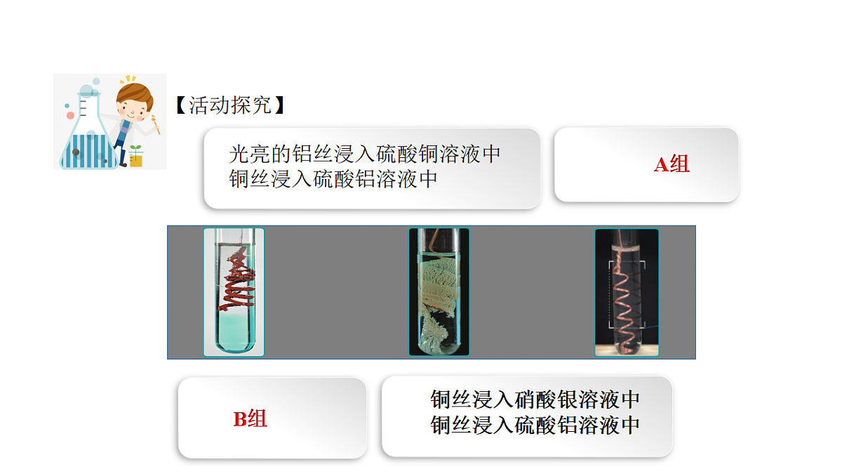 18277215第8页