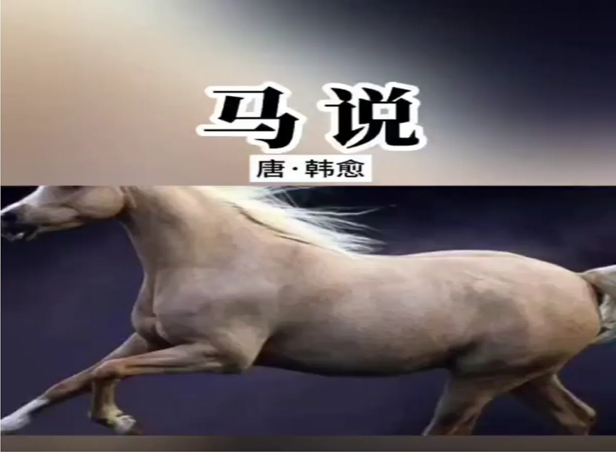 18277227第6页