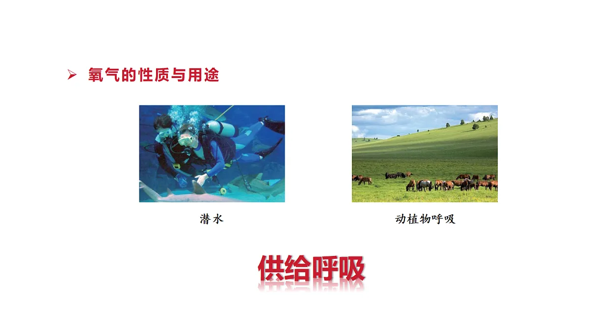18277235第6页