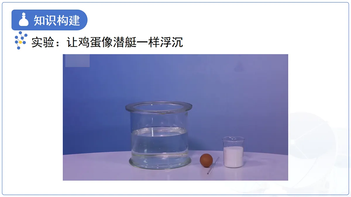 18277654第4页