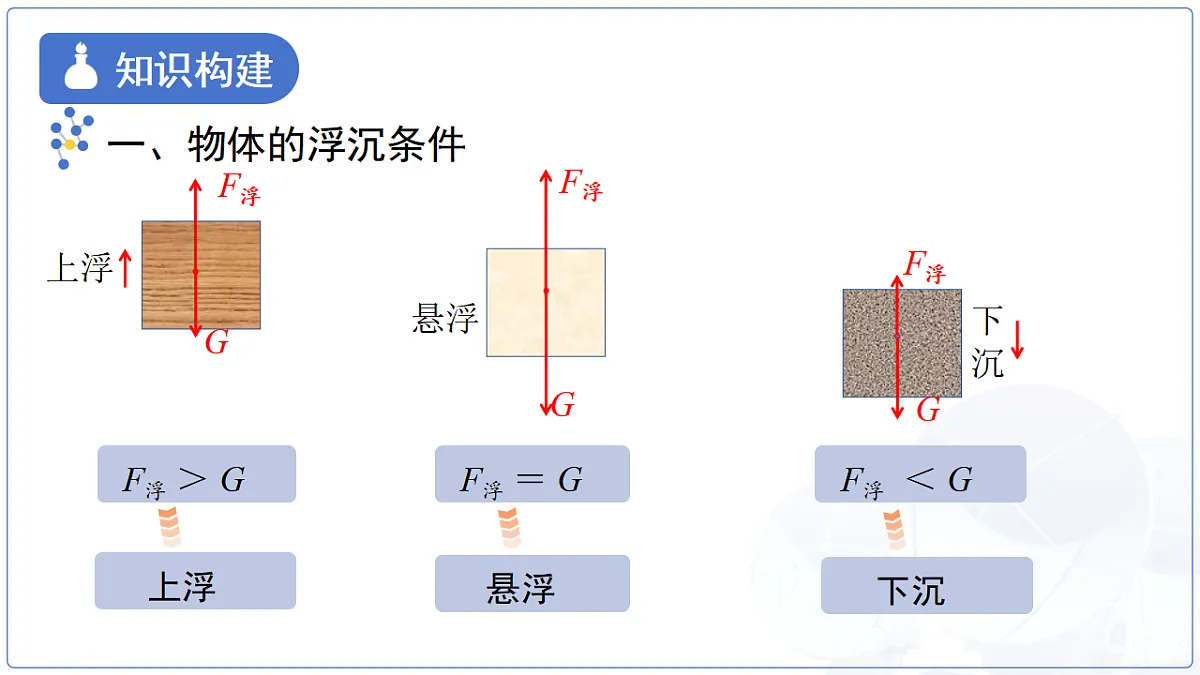 18277654第5页