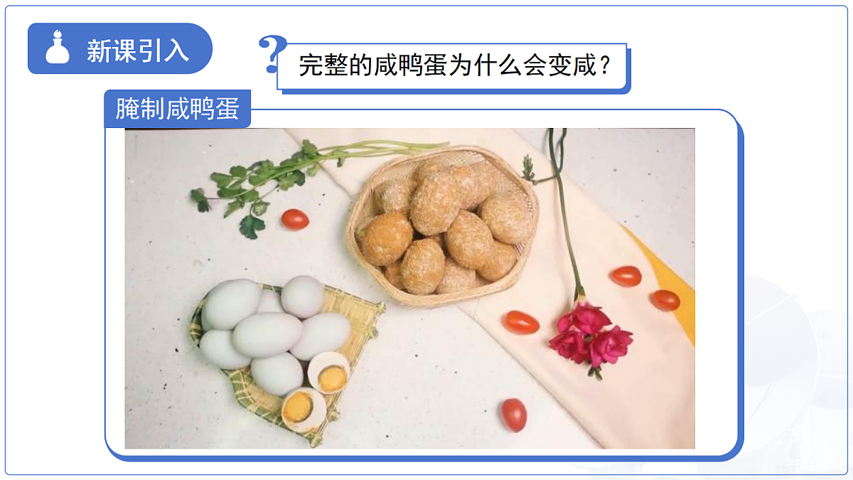 18277656第3页