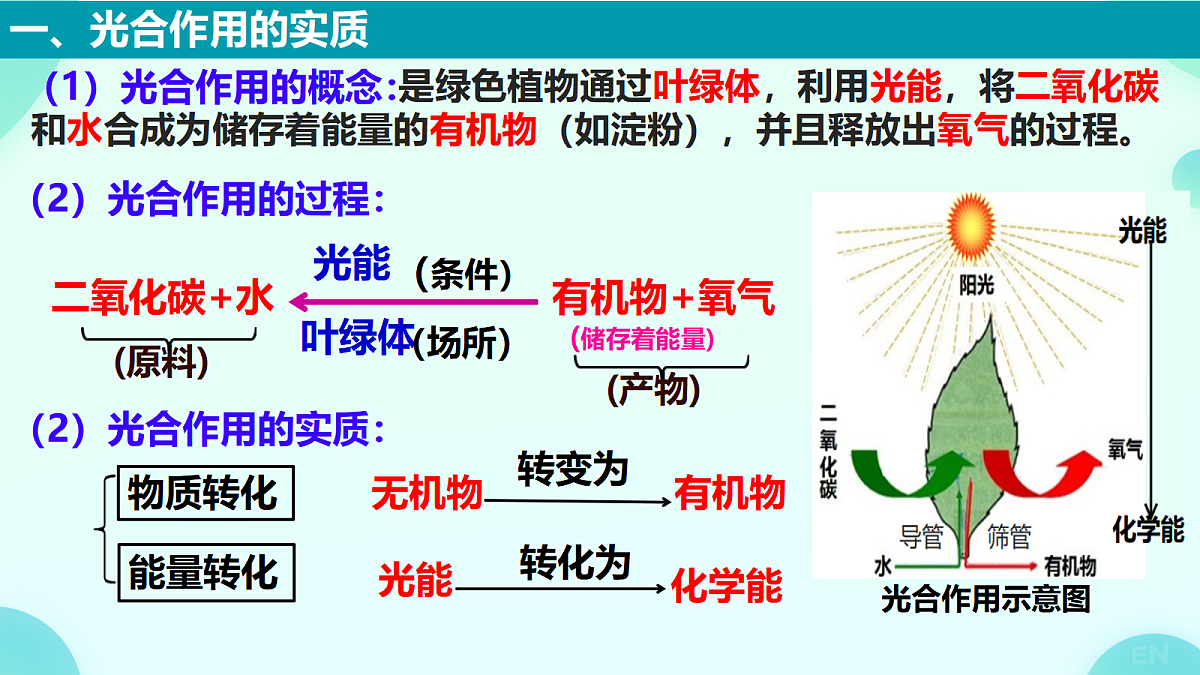18277777第2页