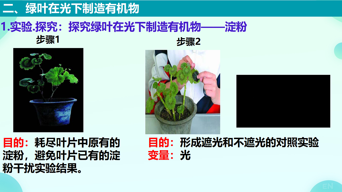 18277777第3页