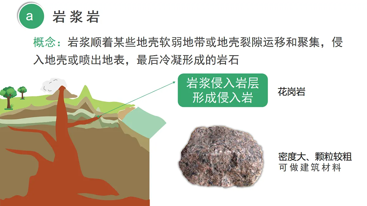 18278541第3页