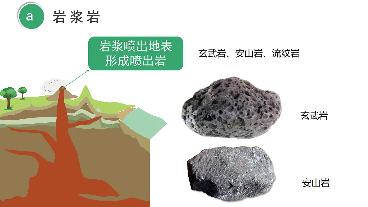 18278541第4页