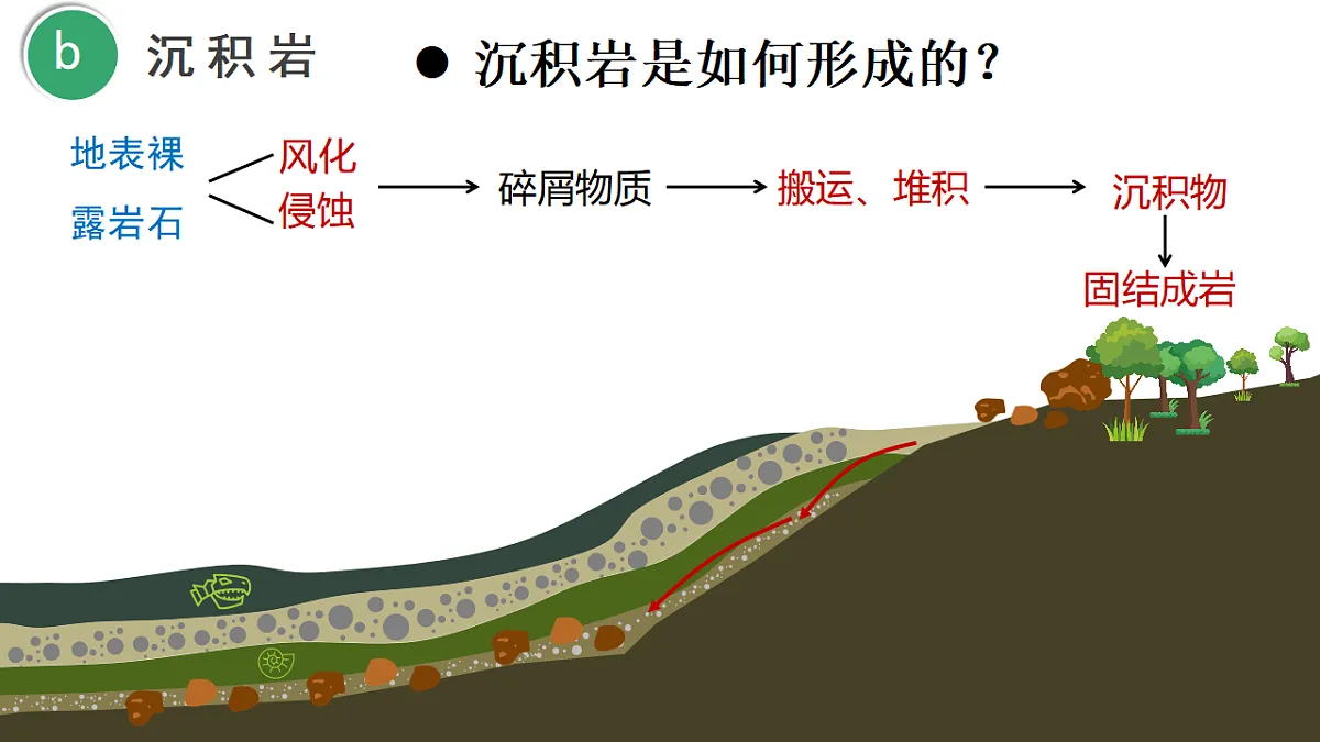 18278541第5页
