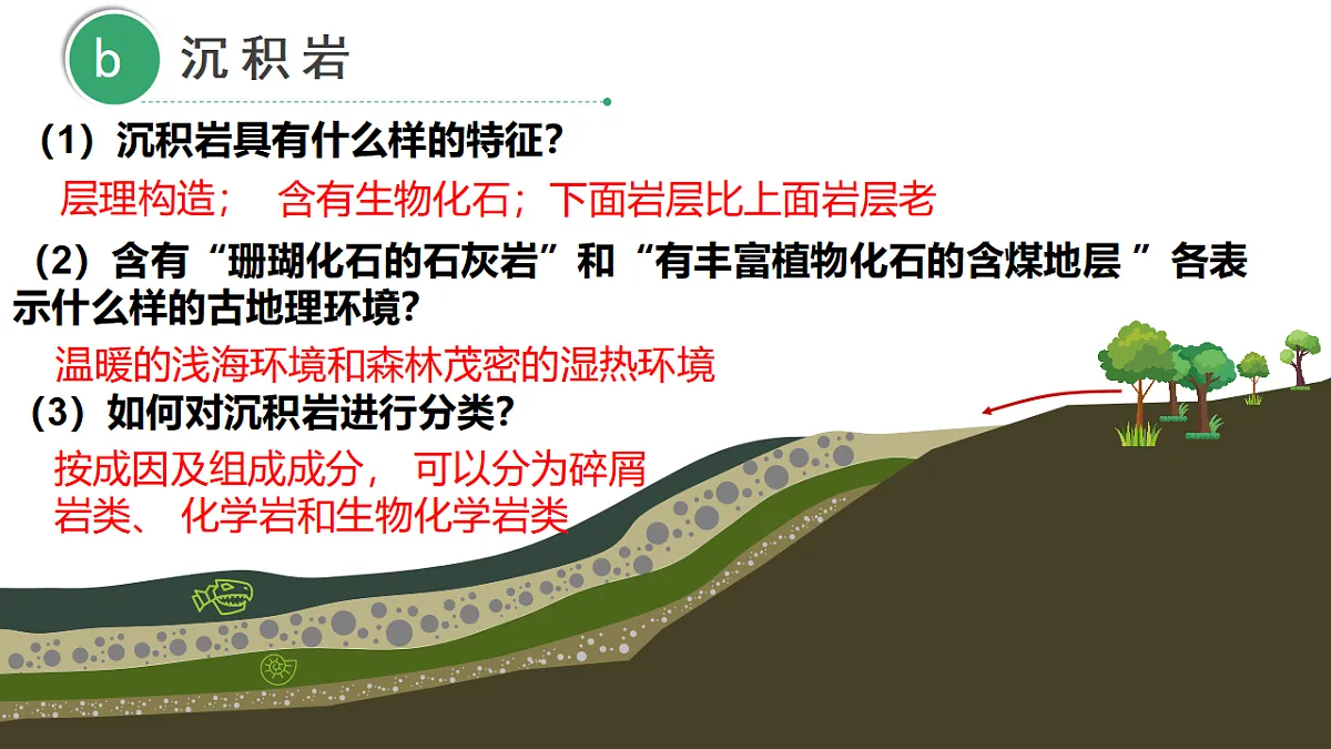 18278541第6页