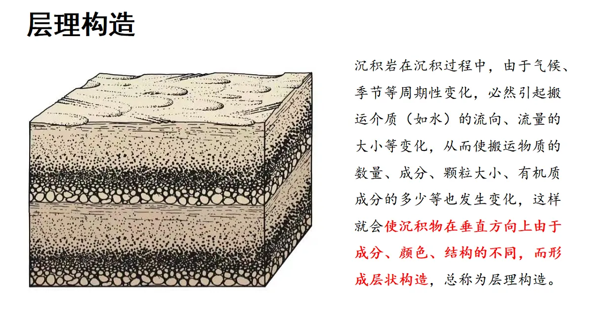 18278541第7页