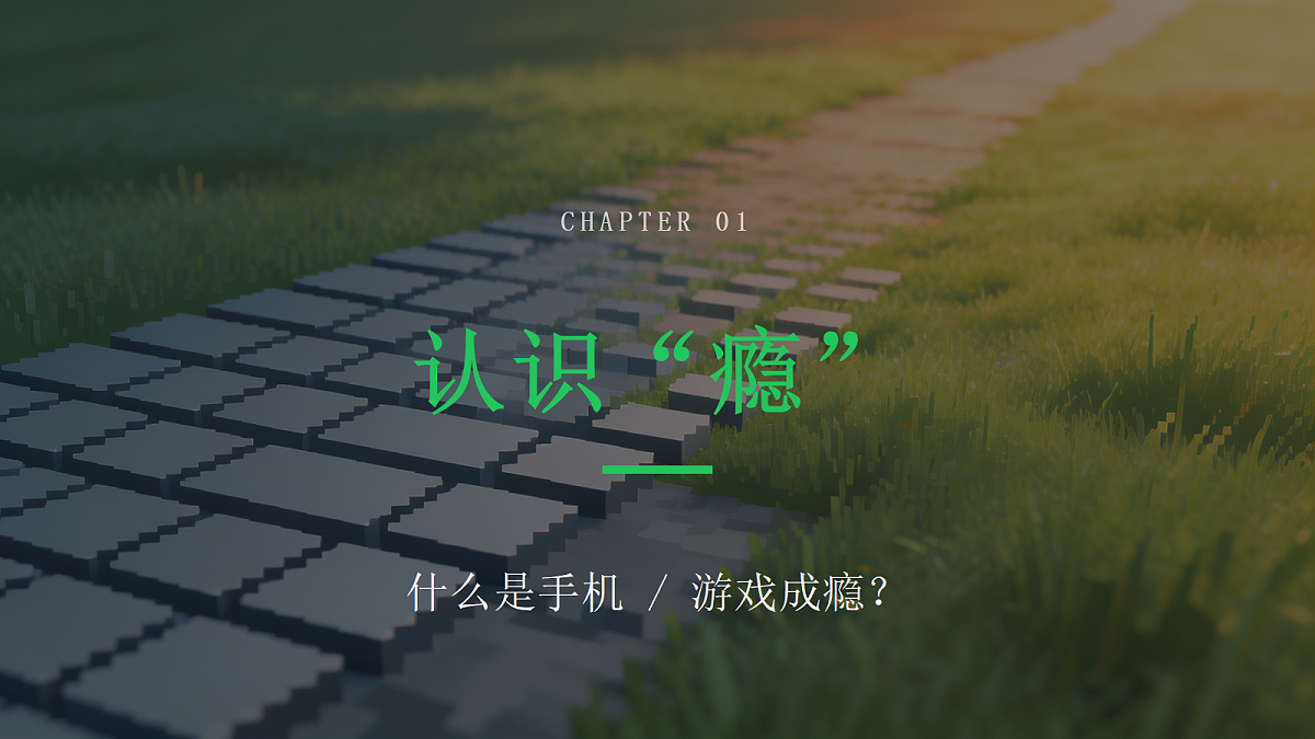 18278628第4页