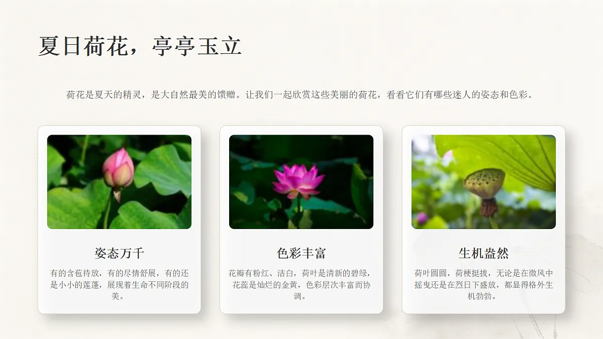 18281903第3页