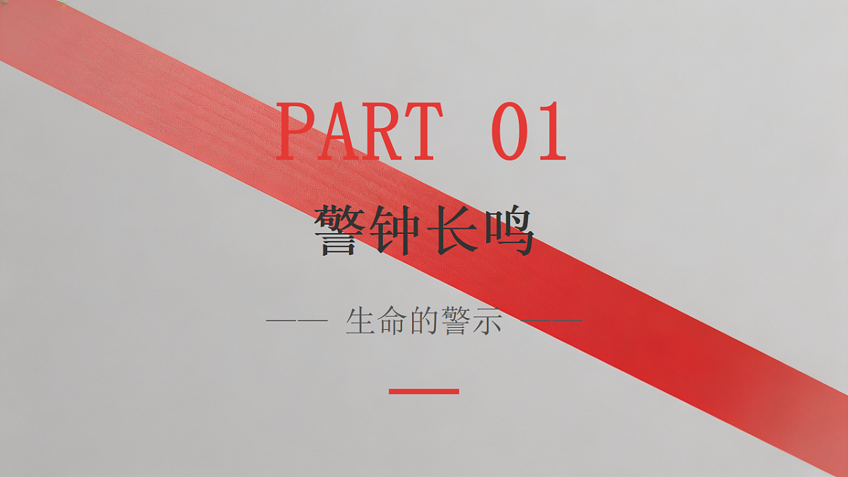 18284079第4页