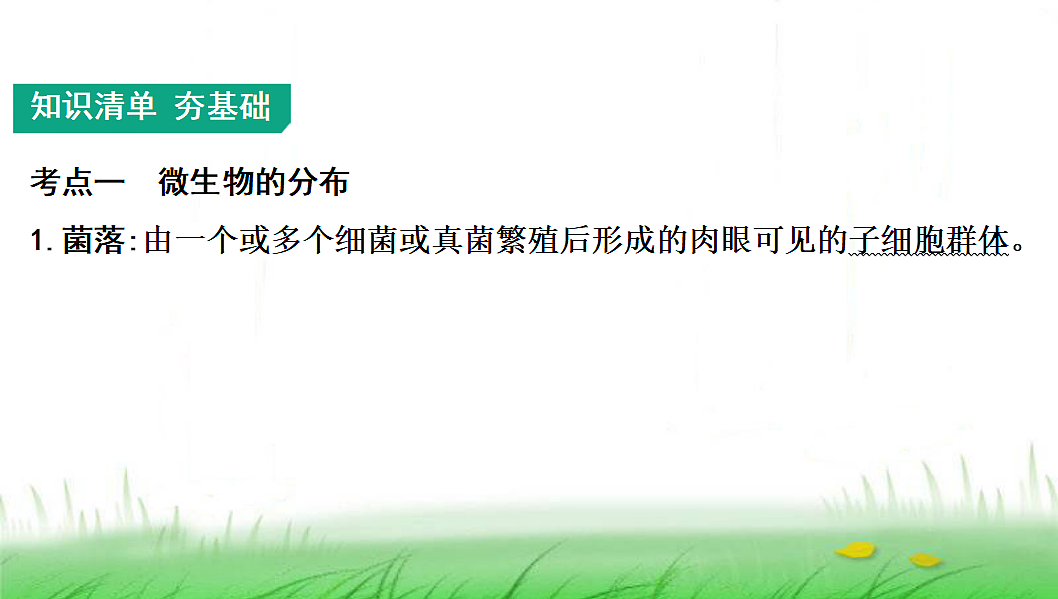 18285144第2页