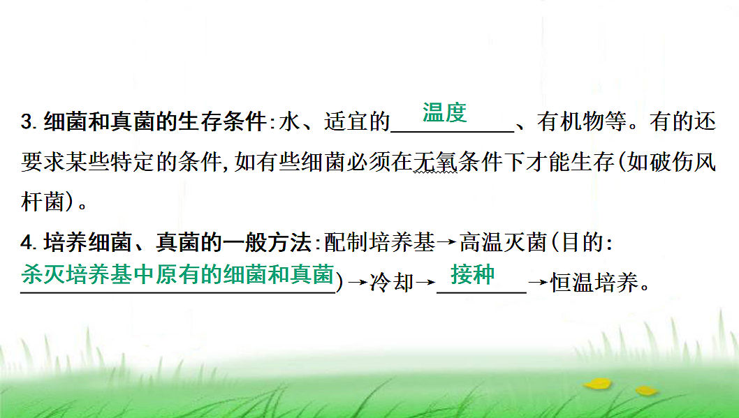18285144第4页