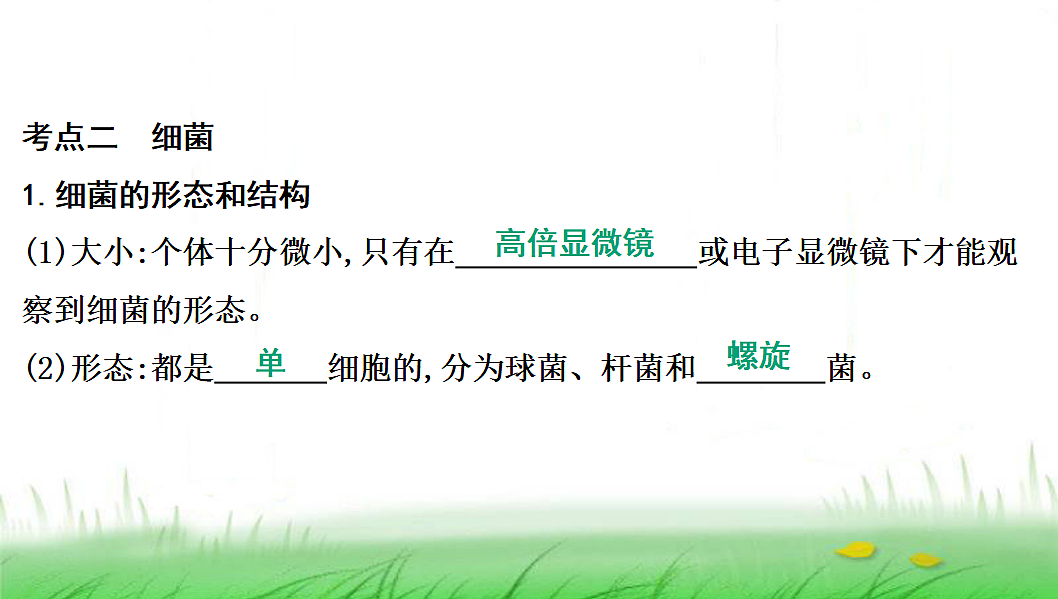 18285144第5页