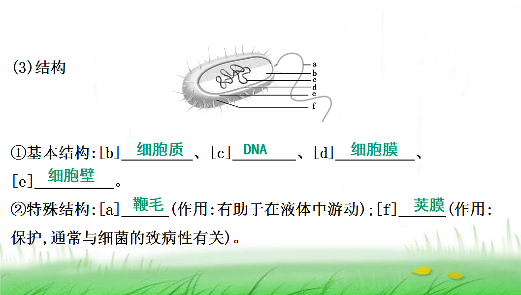 18285144第6页