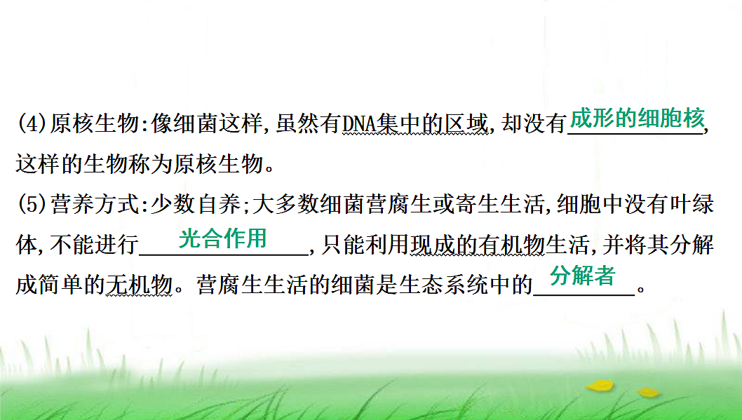 18285144第7页