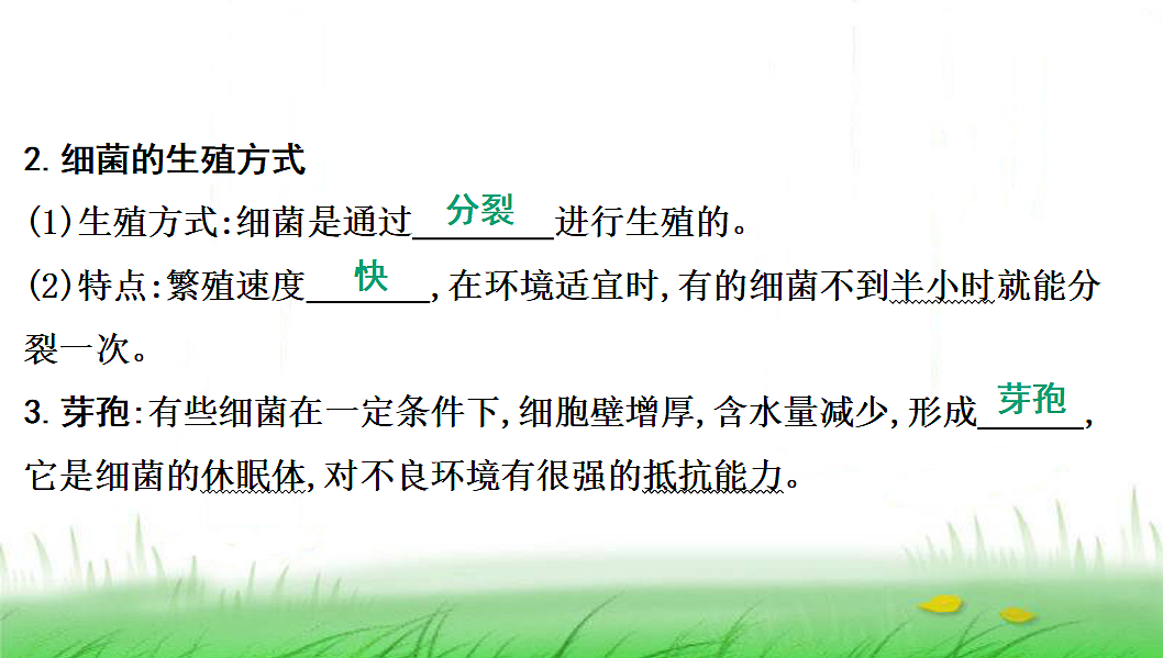 18285144第8页