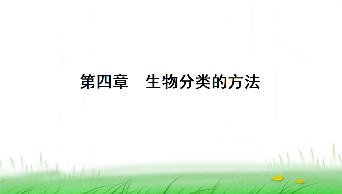 18285145第1页