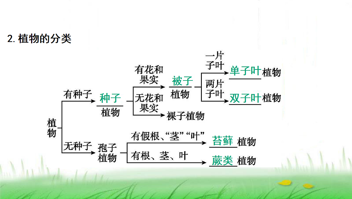 18285145第3页