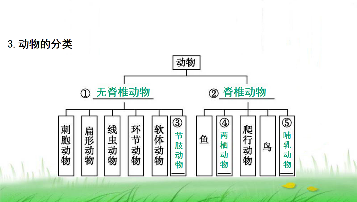 18285145第5页