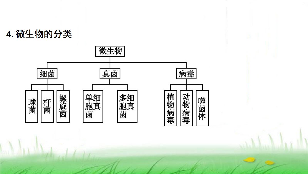 18285145第7页